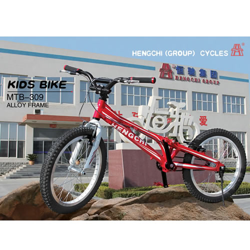 童車(chē)BMX-309